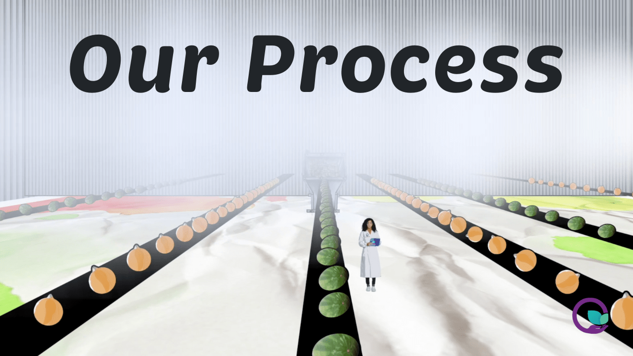 Our Process Video